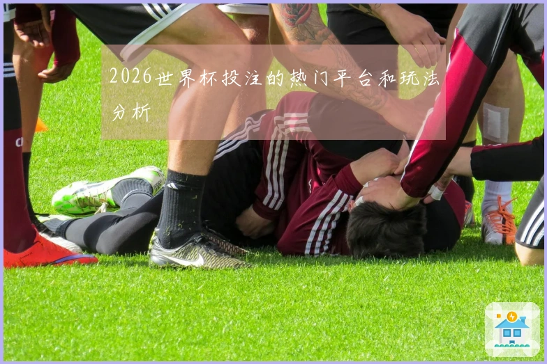 2026世界杯投注的热门平台和玩法分析