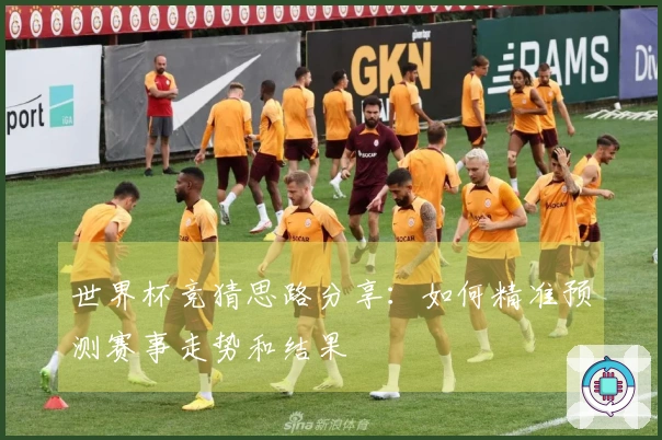 世界杯竞猜思路分享：如何精准预测赛事走势和结果