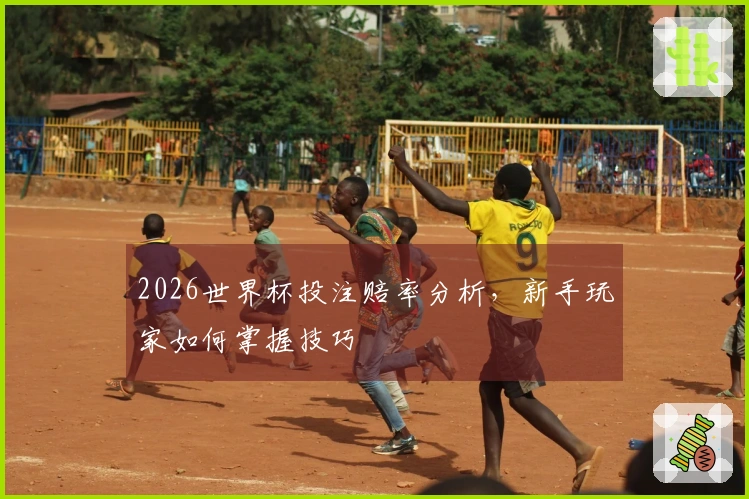 2026世界杯投注赔率分析，新手玩家如何掌握技巧