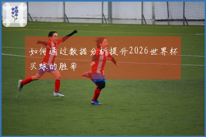 如何通过数据分析提升2026世界杯买球的胜率