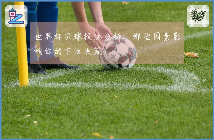 世界杯买球投注分析：哪些因素影响你的下注决策？
